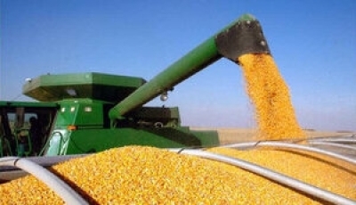 У Єврокомісії закликали Польщу, Угорщину та Словаччину зняти обмеження на імпорт українського зерна